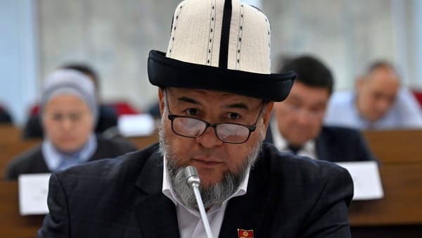 В парламенте вновь предлагают средства мигрантов направить на инвестирование изображение публикации