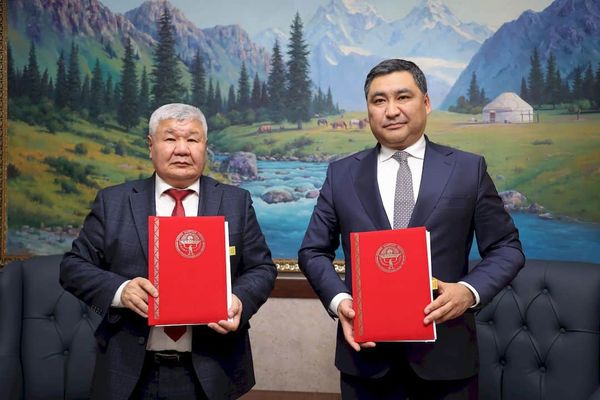 IFC и кабмин разработают пилотный проект ГЧП по строительству солнечной станции мощностью 100-150 МВт изображение публикации