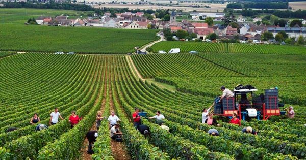 Великобритания увеличила квоту на трудоустройство кыргызстанцев в 2023 году изображение публикации