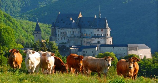 Кыргызских аграриев могут отправить в Баварию учиться органическому сельскому хозяйству изображение публикации