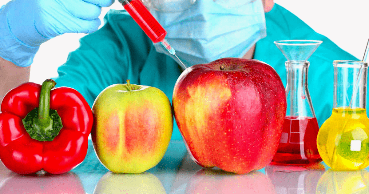 ООН реализует проект по защите Кыргызстана от опасных биологических организмов изображение публикации