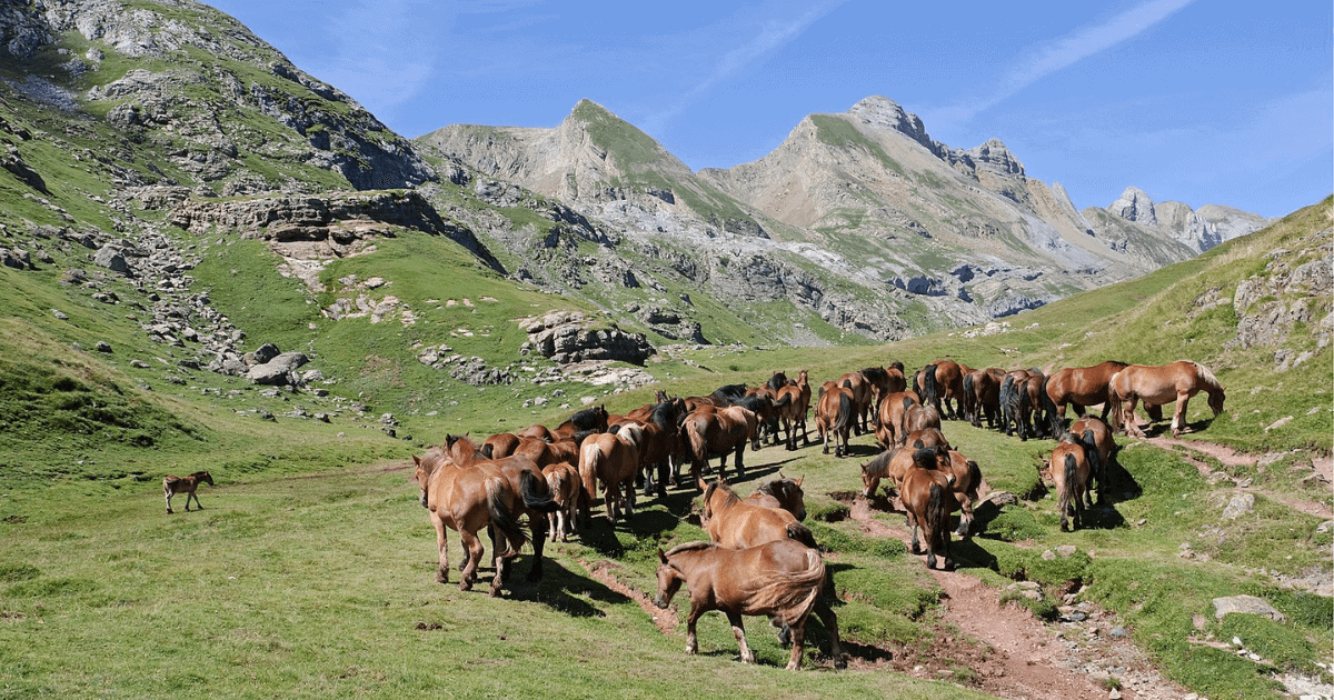 В 2022 году власти выдали фермерам более чем 2.7 млрд сомов льготных кредитов изображение публикации