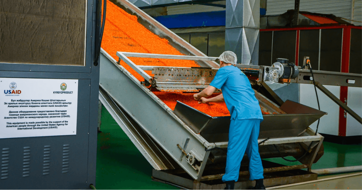 Экспортер плодоовощной продукции из Кыргызстана расширил производство и рынки сбыта при поддержке USAID изображение публикации