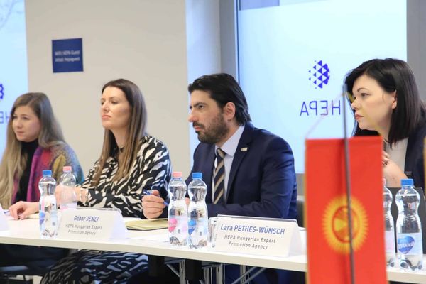Венгерское агентство экспорта выступило за увеличение товарооборота с Кыргызстаном изображение публикации