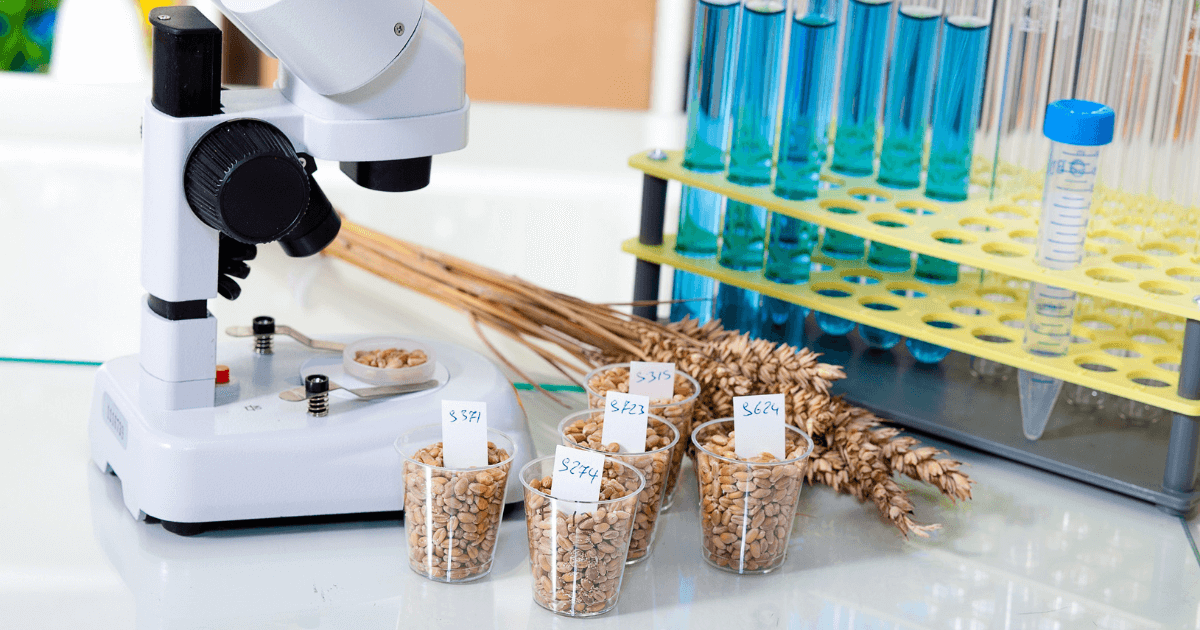 Немецкая Wessling поможет открыть в Кыргызстане лабораторию по сертификации сельхозпродукции изображение публикации