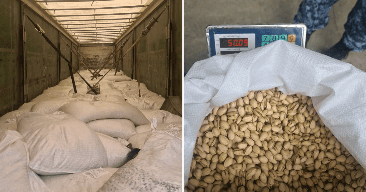 На юге КР задержали контрабанду 22 тонн турецких фисташек изображение публикации