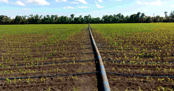 Государство выделит 2.5 млрд сома на полив безводных земель изображение публикации