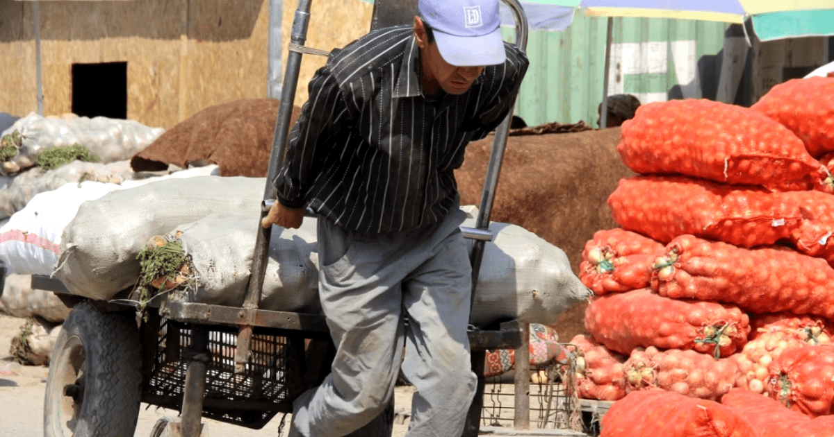 Более 19 тысяч кыргызстанцев получают зарплату ниже 6 тысяч сомов изображение публикации