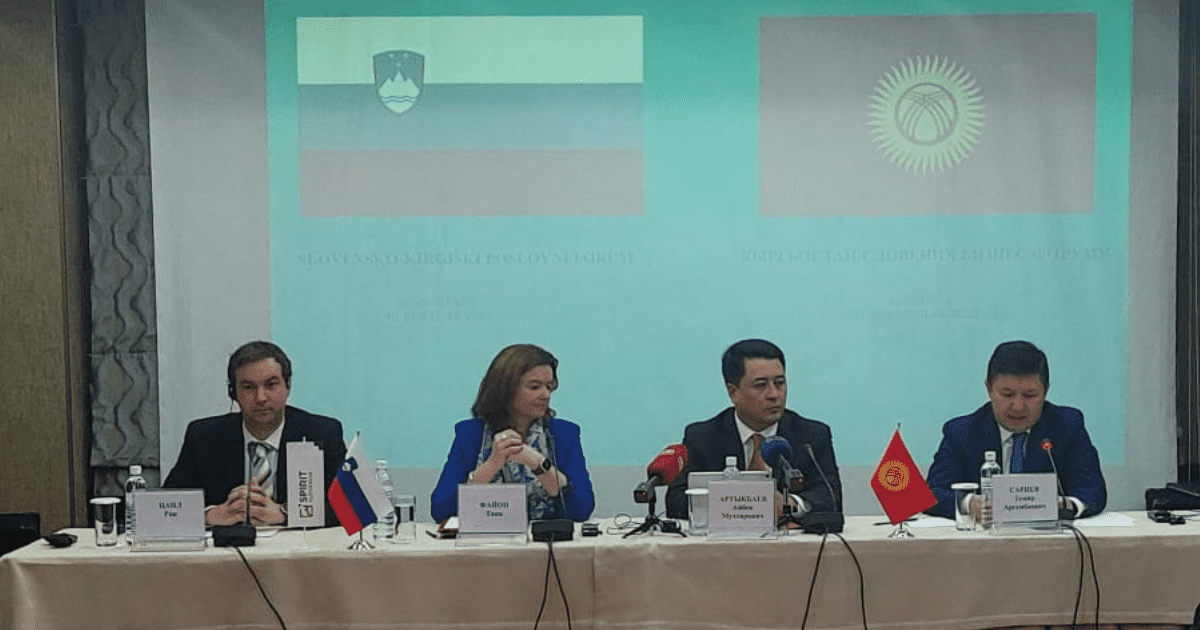 Словения готова участвовать в энергопроектах в Кыргызстане изображение публикации