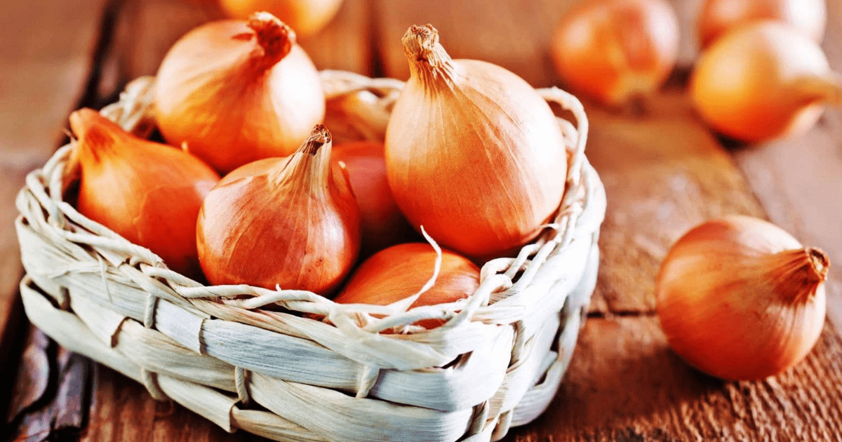 Минсельхоз предлагает снять запрет на экспорт лука — Его ввели меньше месяца назад изображение публикации