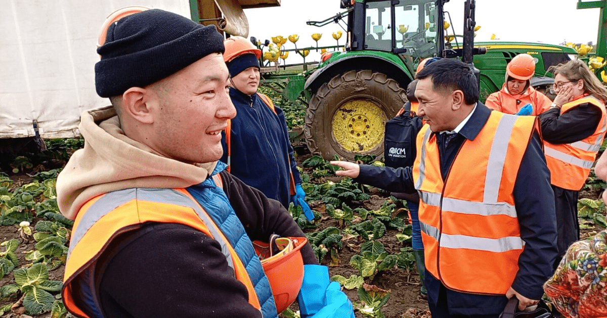 Агентства занятости Великобритании планируют увеличить квоты для кыргызстанцев изображение публикации