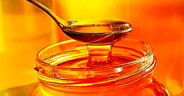 Кыргызстанский мед самый лучший в мире, мы будем поставлять его в Европу — Темир Сариев изображение публикации