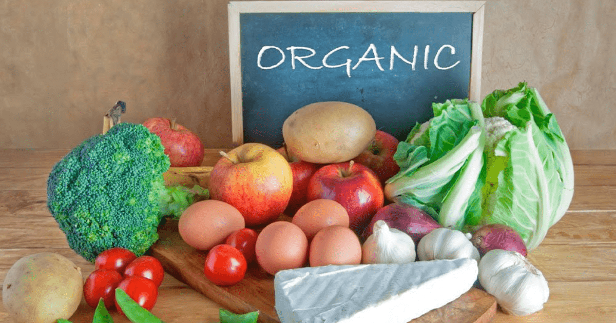 В Кыргызстане принят закон «Об органическом производстве» изображение публикации