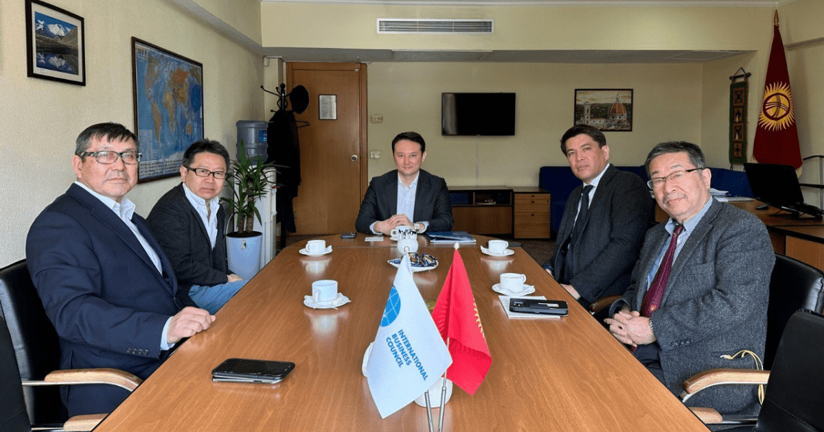 Япония поможет Кыргызстану увеличить спрос на возобновляемые источники энергии изображение публикации