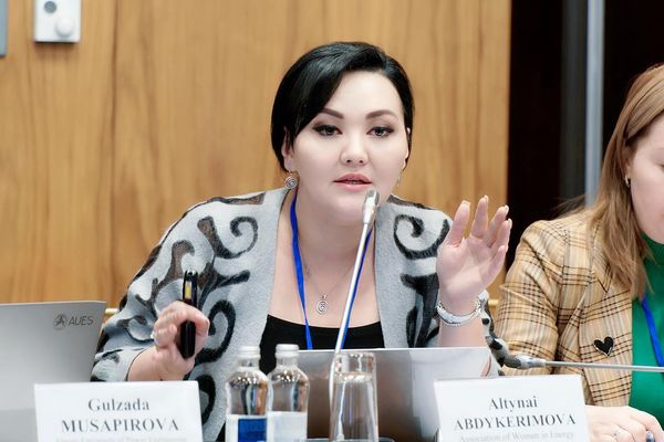 Повышение тарифов на электричество необходимо — глава Ассоциации женщин в энергетике изображение публикации