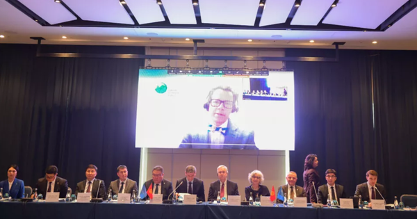 РКФР готов вложить почти $15 млн на восстановление лесов Кыргызстана изображение публикации