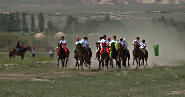 Беловодский ипподром вернули в собственность государства изображение публикации