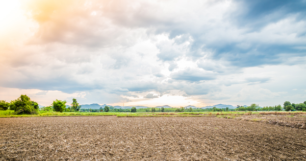 В текущем году в Кыргызстане засеяно на 12 тысяч гектаров меньше, чем в прошлом изображение публикации