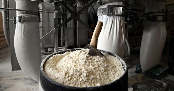 Мукомольный комбинат «Дан» планирует приобрести оборудование на $2.3 млн изображение публикации