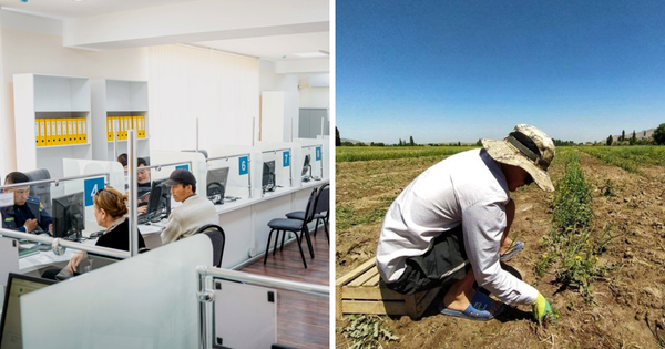 В Кыргызстане предлагают создать Центр обслуживания фермеров изображение публикации