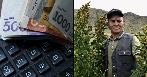 Сельхозпроизводители могут разориться из-за налогооблажения — Ассоциация АПК об угрозах экономике изображение публикации