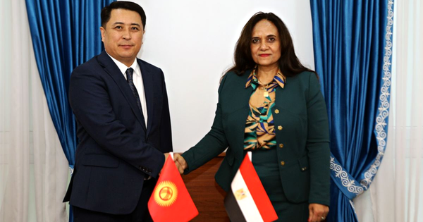 В Кыргызстане рассмотрят упрощенный порядок въезда для граждан Египта изображение публикации