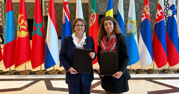 ЕБРР выделит €28 млн «Аэропортам Узбекистана» на новую спецтехнику изображение публикации