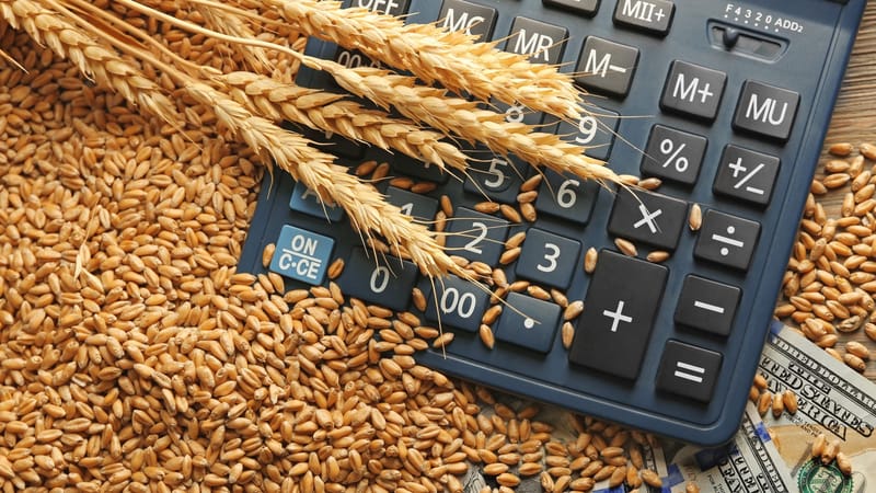 Госбанкам КР рекомендовали снизить требования для оформления кредитов в сельском хозяйстве изображение публикации
