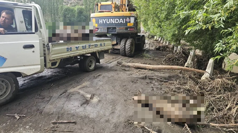 Сель в Ноокатском районе: ветеринары захоронили 45 голов скота изображение публикации