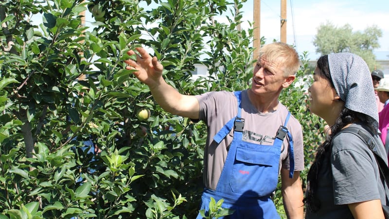 ФАО обучает фермеров Кыргызстана интенсивному садоводству для повышения урожайности и качества изображение публикации