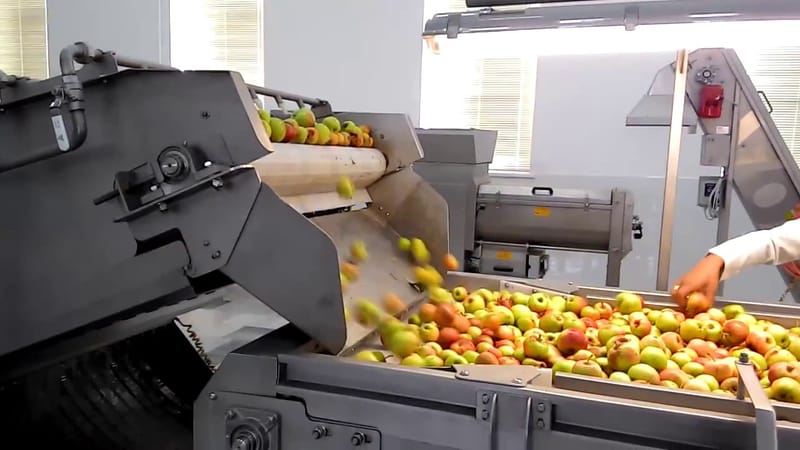 В Сокулукском районе построят завод по переработке фруктов и овощей изображение публикации