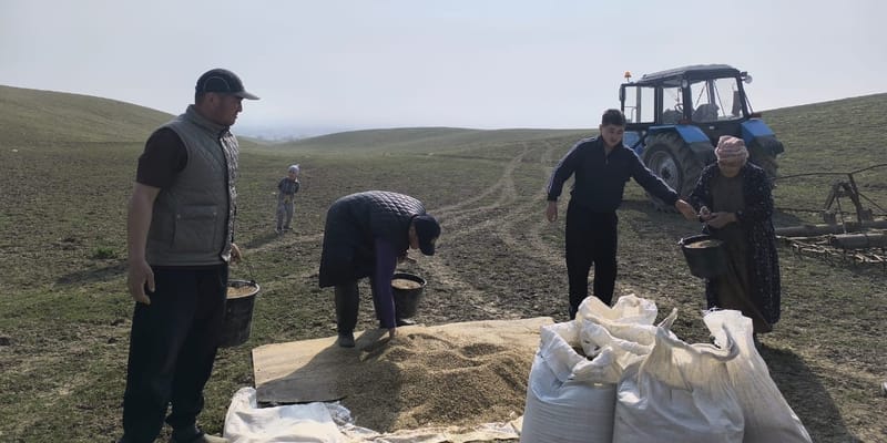 Минсельхоз объявил тендер на закупку семян для восстановления пастбищ изображение публикации