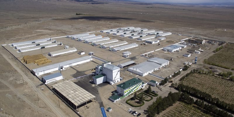 Когда границы закрыли — открылась точка продовольственной опоры изображение публикации