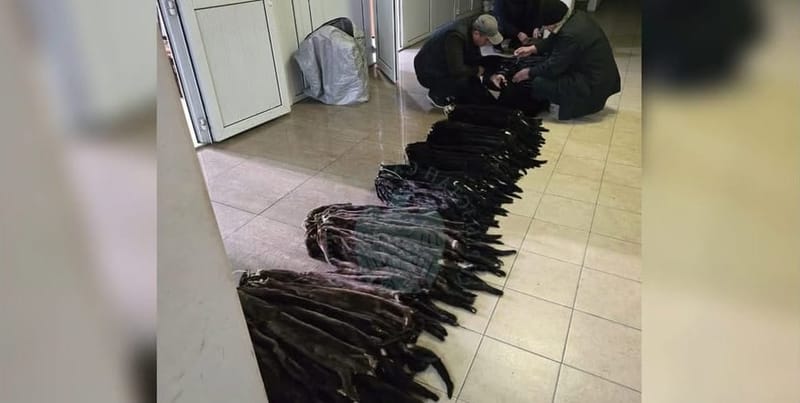 Контрабанда из России: в Оше изъяли 47 килограммов норочьих шкур изображение публикации