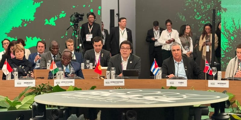 Кыргызстан рассчитывает на доходы до $500 млн в год от продажи карбоновых кредитов изображение публикации