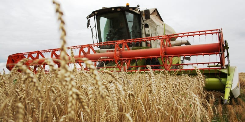 В Кыргызстане намолочено 1.8 млн тонн зерновых изображение публикации