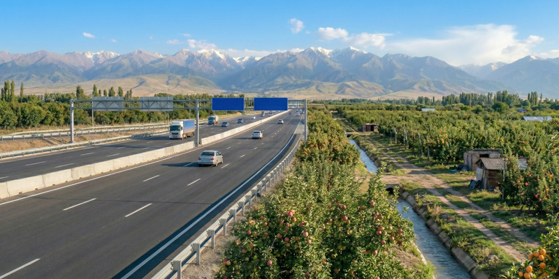 Вдоль дорог Кыргызстана высадят плодовые сады для борьбы с эрозией и укрепления откосов изображение публикации