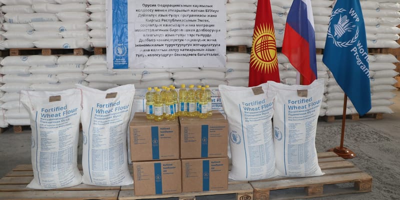 Россия передала КР более 1.1 тысячи тонн продовольствия для уязвимых семей