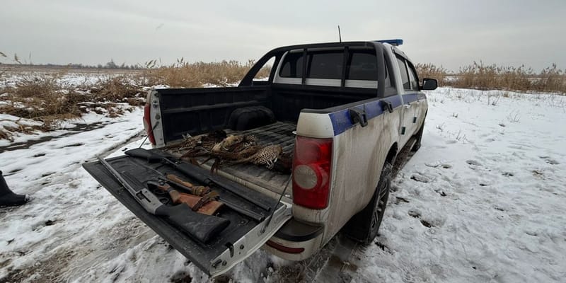 Экотехнадзор оштрафовал нарушителей правил охоты в Чуйской области на 250 тысяч сомов