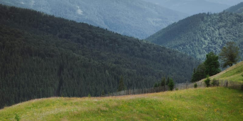 Кабмин планирует обновить нормативы компенсации за изъятие сельхозземель — как их будут считать? изображение публикации