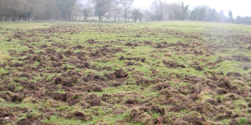 Штраф до 8.5 млн сомов: в Минсельхозе предупредили об ответственности за порчу земель изображение публикации