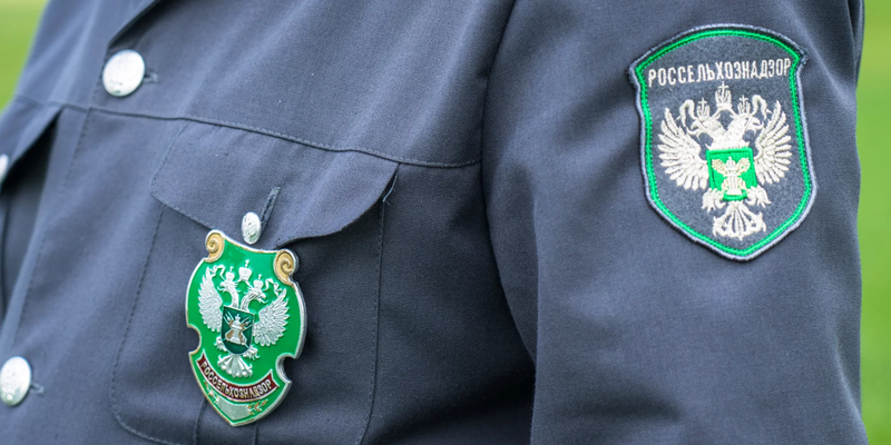 Россельхознадзор подключит КР к электронному обмену ветсертификатами в 2026 году изображение публикации