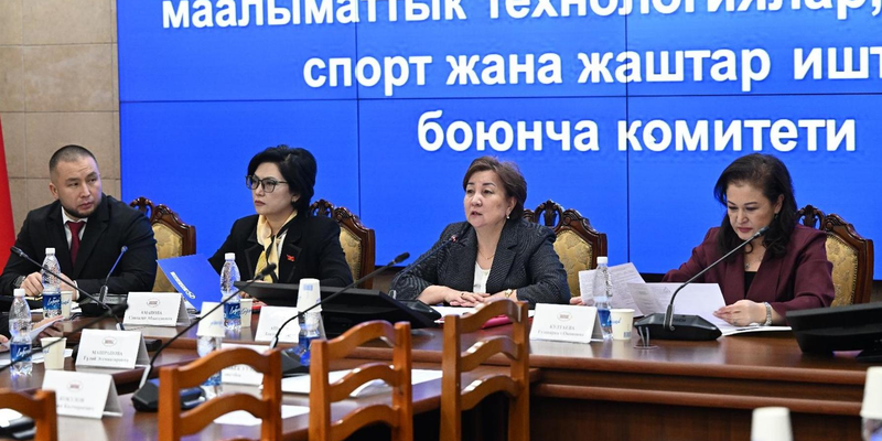 Комитет ЖК одобрил поправки в правила присвоения ПИН изображение публикации