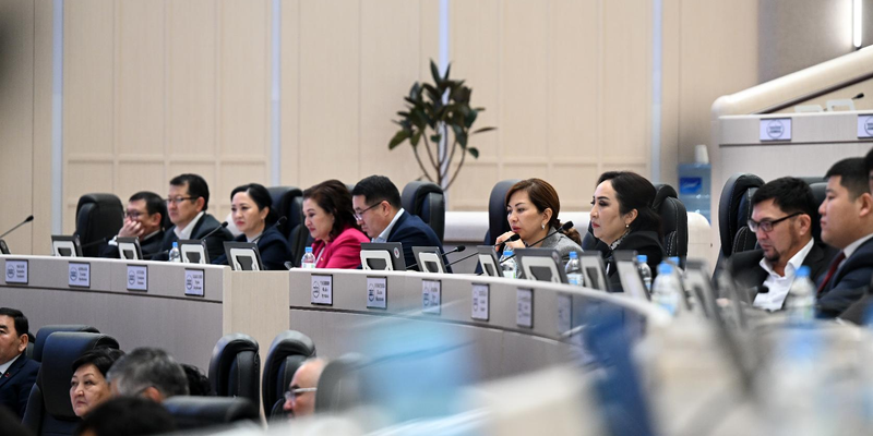 ЖК одобрил во втором чтении кредит ОПЕК на $30 млн для бюджетной поддержки изображение публикации