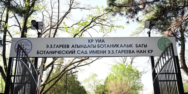 Угроза экологии: Дастан Бекешев требует отменить строительство футбольного поля в Ботсаду изображение публикации