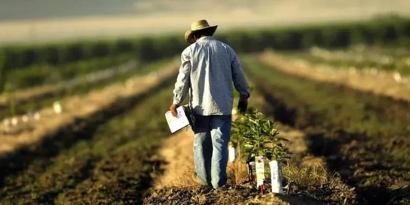 Минсельхоз отчитался о поддержке аграриев за 11 месяцев 2025 года изображение публикации