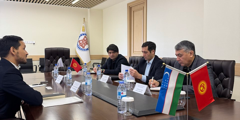 Кыргызстан собирается поставлять кожевенное сырье в Узбекистан изображение публикации