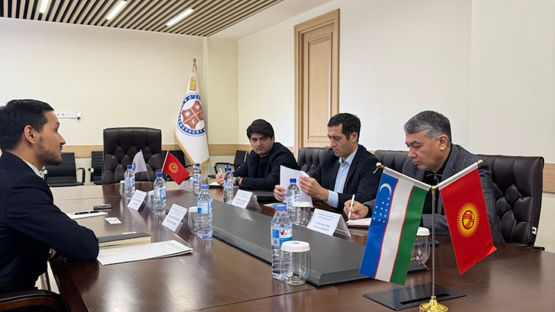 Кыргызстан собирается поставлять кожевенное сырье в Узбекистан изображение публикации