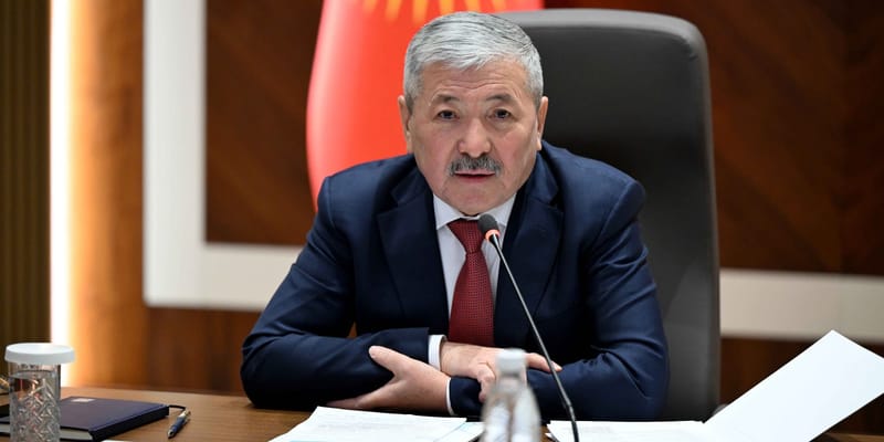 В КР внедрят «единое окно» в ВЭД и цифровизируют медосмотр призывников изображение публикации