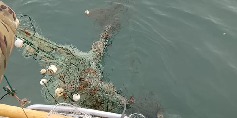 На Иссык-Куле инспекторы изъяли 400 метров браконьерских сетей изображение публикации